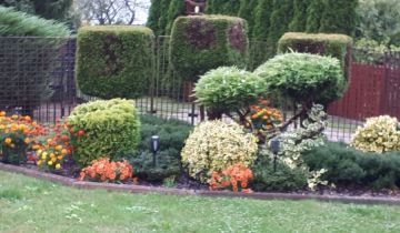 Działka rod Gdańsk Klukowo, ul. Meteorytowa