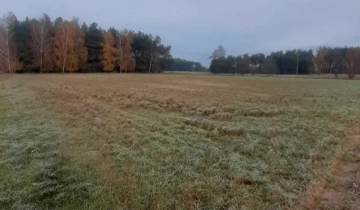 Działka budowlana Świeca