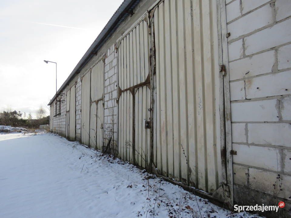 Działka inwestycyjna Trzcianka, ul. gen. Władysława Sikorskiego. Zdjęcie 5