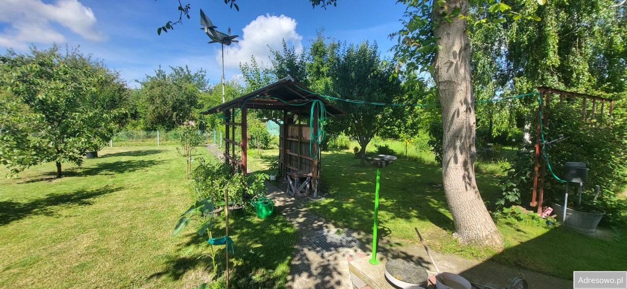 Działka rod Elbląg, ul. Warszawska. Zdjęcie 10