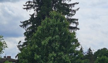 Działka budowlana Golub-Dobrzyń Podzamek, Zamkowa