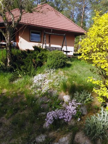 Działka inna Skorzewo. Zdjęcie 1