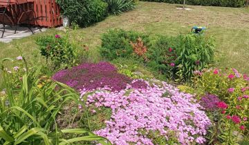 Działka rod Pruszcz Gdański, ul. Przemysłowa