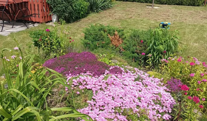 Działka rod Pruszcz Gdański, ul. Przemysłowa