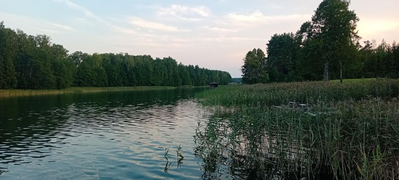 Działka rekreacyjna Serwy. Zdjęcie 14