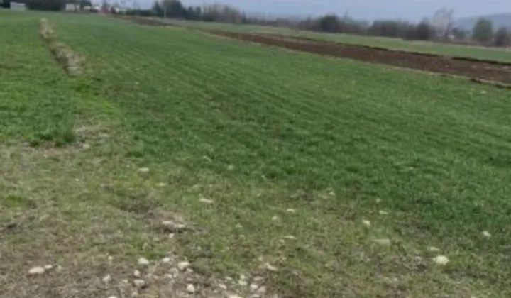 Działka inwestycyjna Stary Sącz Kamieniec, ul. Polna