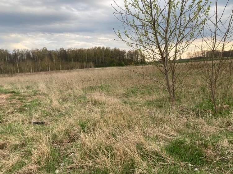 Działka budowlana Wysokie Mazowieckie, ul. Wiosenna. Zdjęcie 8