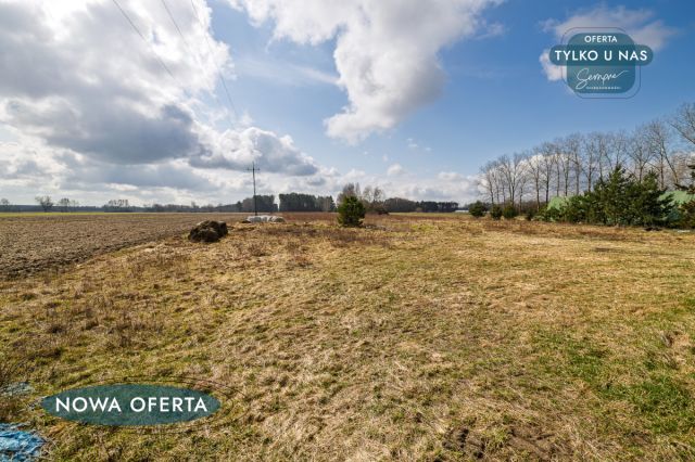 dom wolnostojący, 6 pokoi Rudniki. Zdjęcie 27