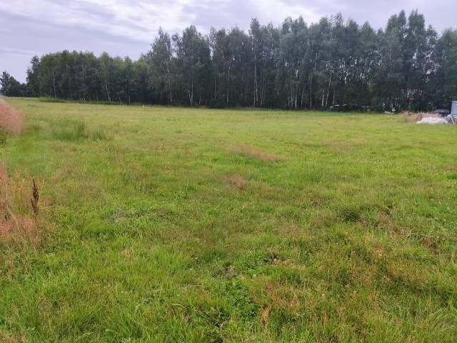 Działka budowlana Urszulin. Zdjęcie 5