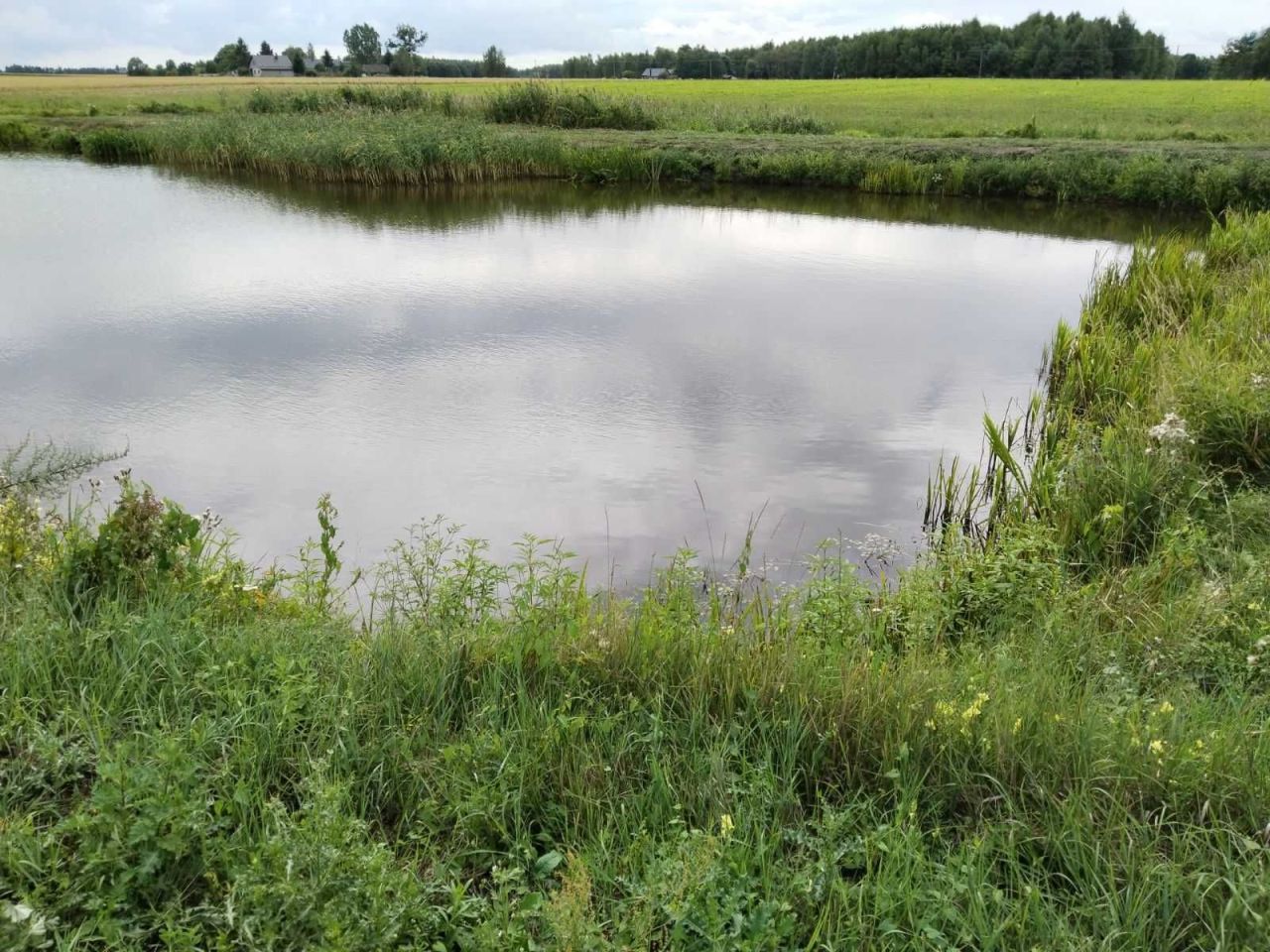 Działka rekreacyjna Szuminka. Zdjęcie 3