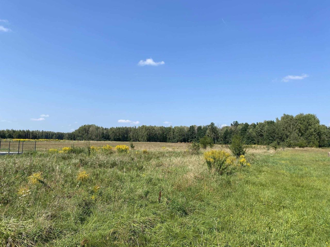 Działka rolno-budowlana Grubale. Zdjęcie 3