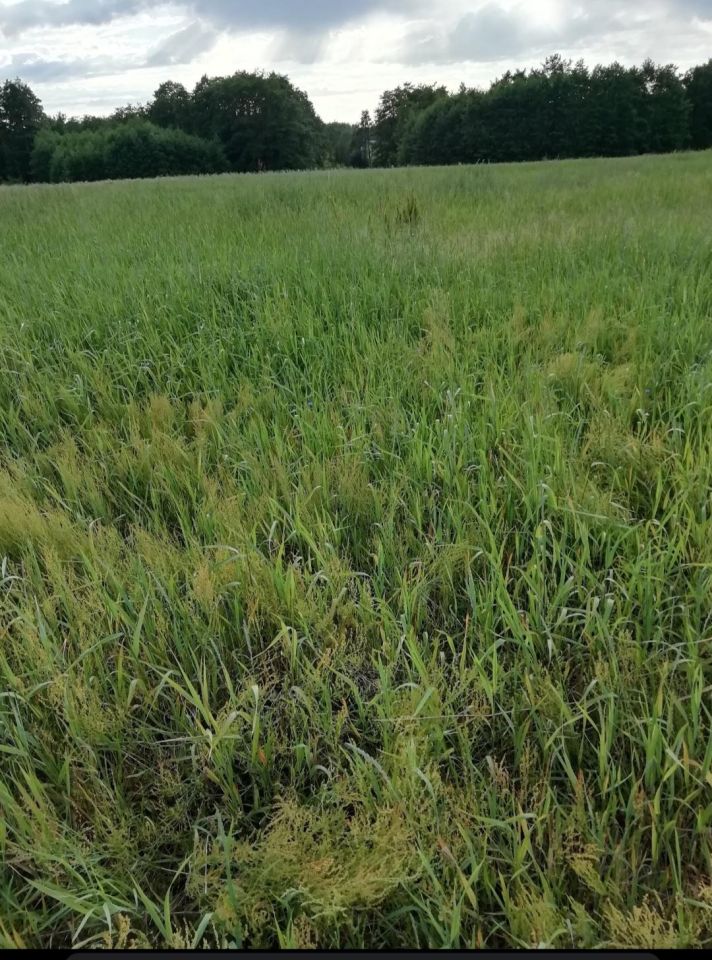 Działka budowlana Wirwilty. Zdjęcie 2