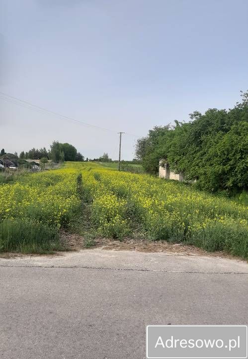 Działka rolno-budowlana Puchaczów, ul. Kazimierza Bogdanowicza. Zdjęcie 4