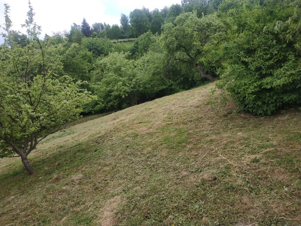 dom wolnostojący Dylągowa. Zdjęcie 6
