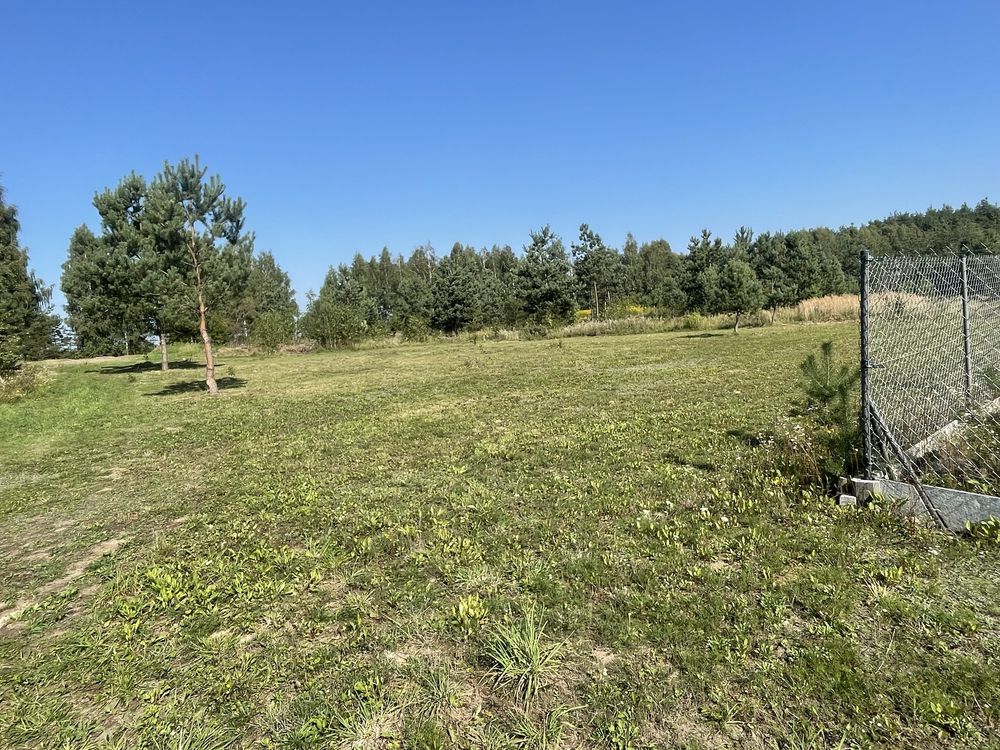 Działka budowlana Rybno. Zdjęcie 3