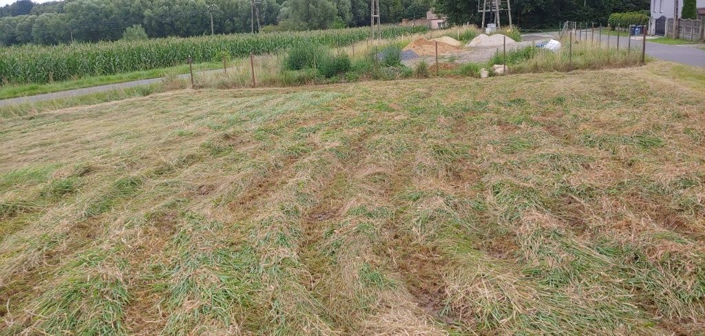 Działka rolna Burgrabice. Zdjęcie 4