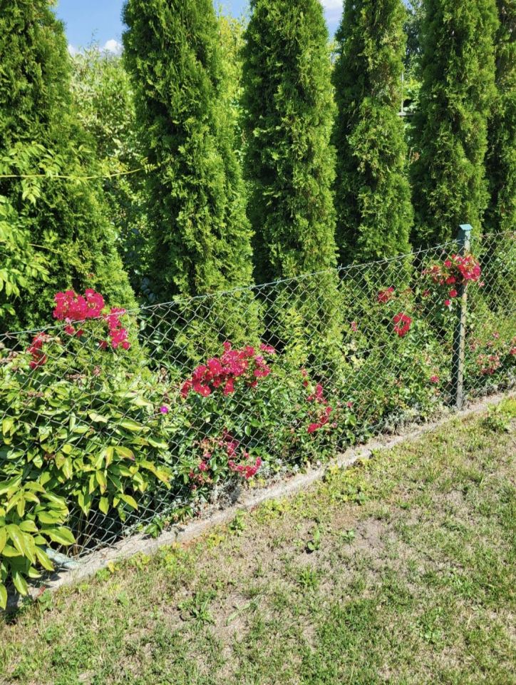 Działka rod Oława, ul. Oleśnicka. Zdjęcie 3