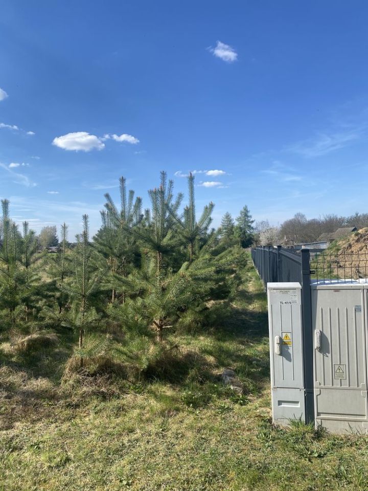 Działka budowlana Malerzów. Zdjęcie 4