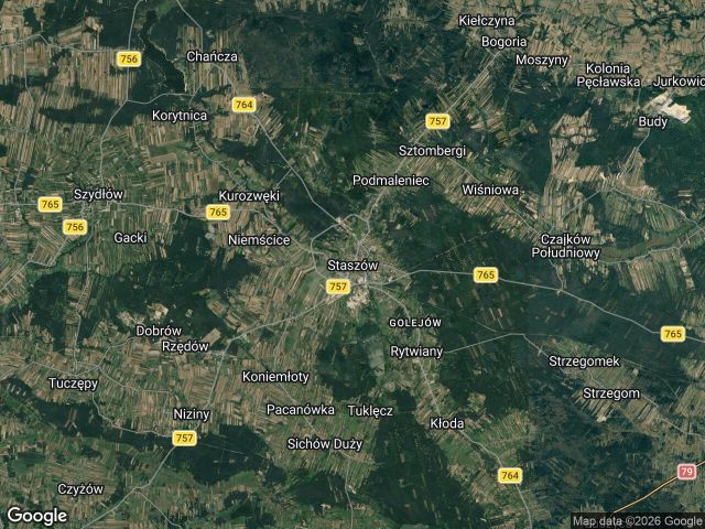 Działka leśna Staszów, Niemścice. Zdjęcie 1