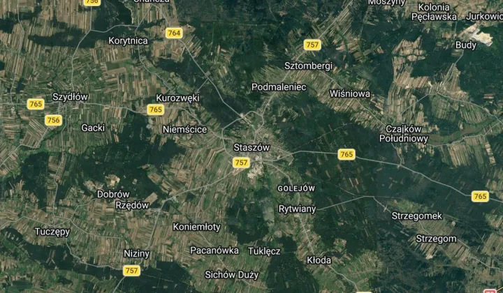 Działka leśna Staszów, Niemścice