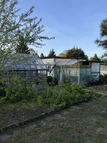 Działka rod Zgierz, ul. Piaskowa. Zdjęcie 1