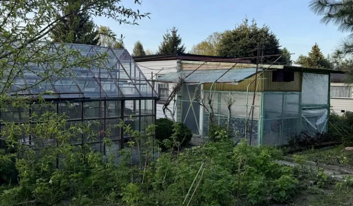 Działka rod Zgierz, ul. Piaskowa