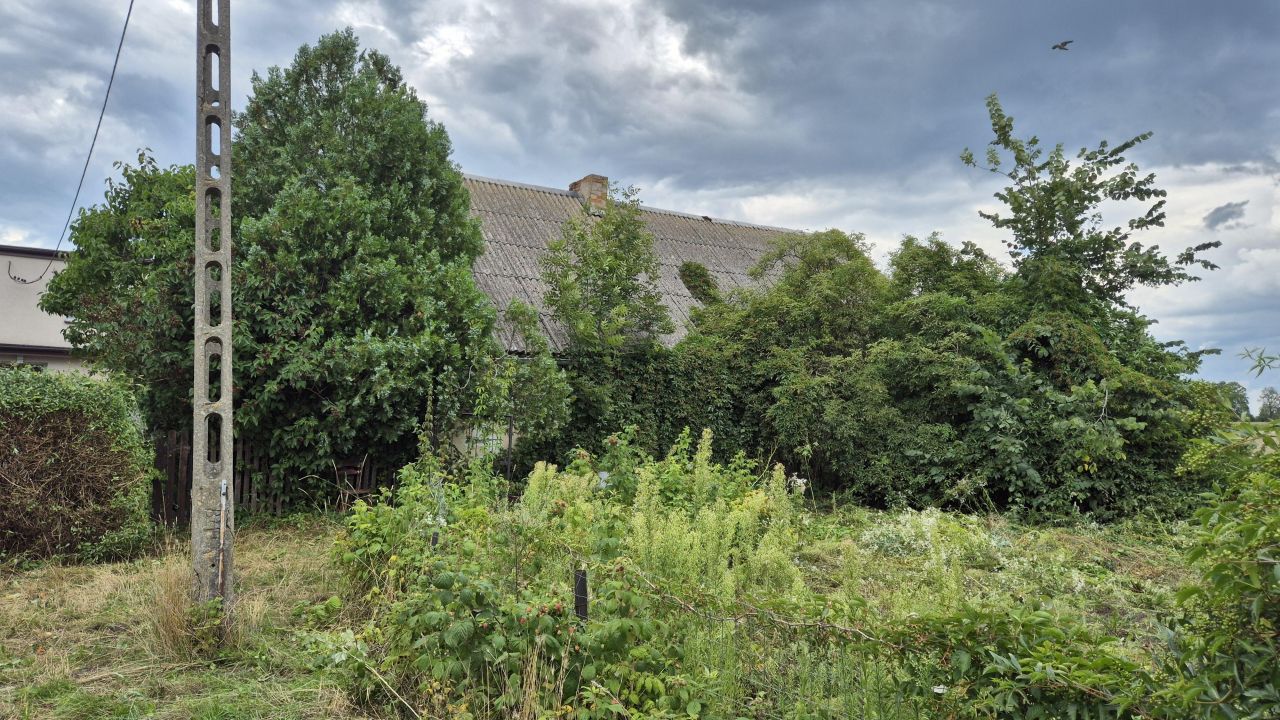 siedlisko, 2 pokoje Giżewo. Zdjęcie 12