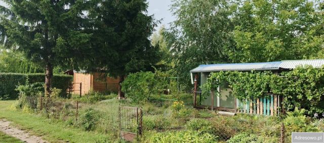 Działka rod Płock Winiary. Zdjęcie 1