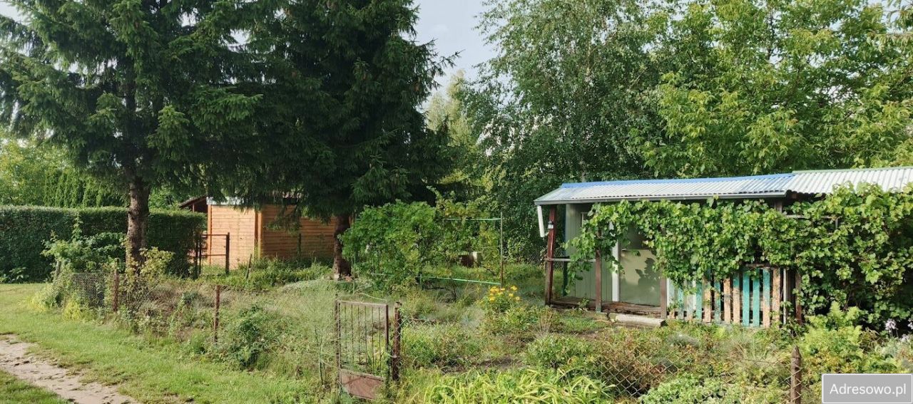 Działka rod Płock Winiary