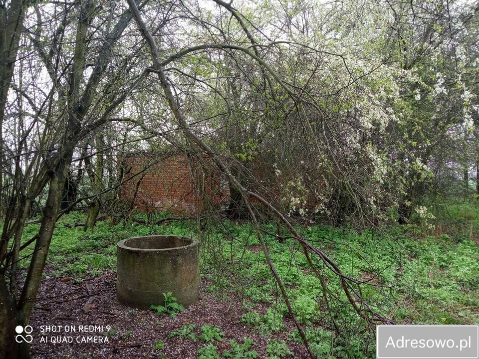 dom wolnostojący Dąbrówki Kobylańskie. Zdjęcie 2