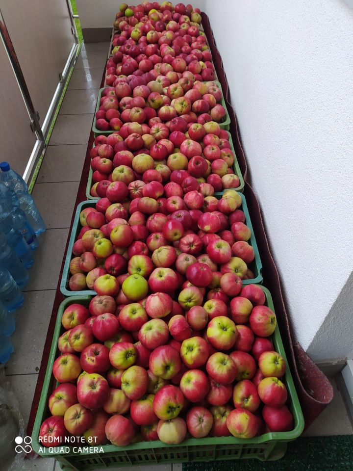 Działka rod Koszalin. Zdjęcie 7