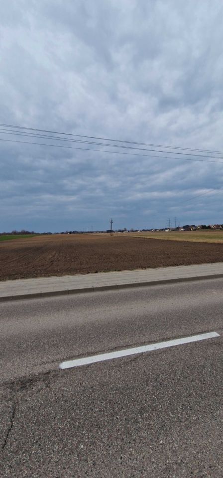 Działka rolno-budowlana Prudziszki. Zdjęcie 1