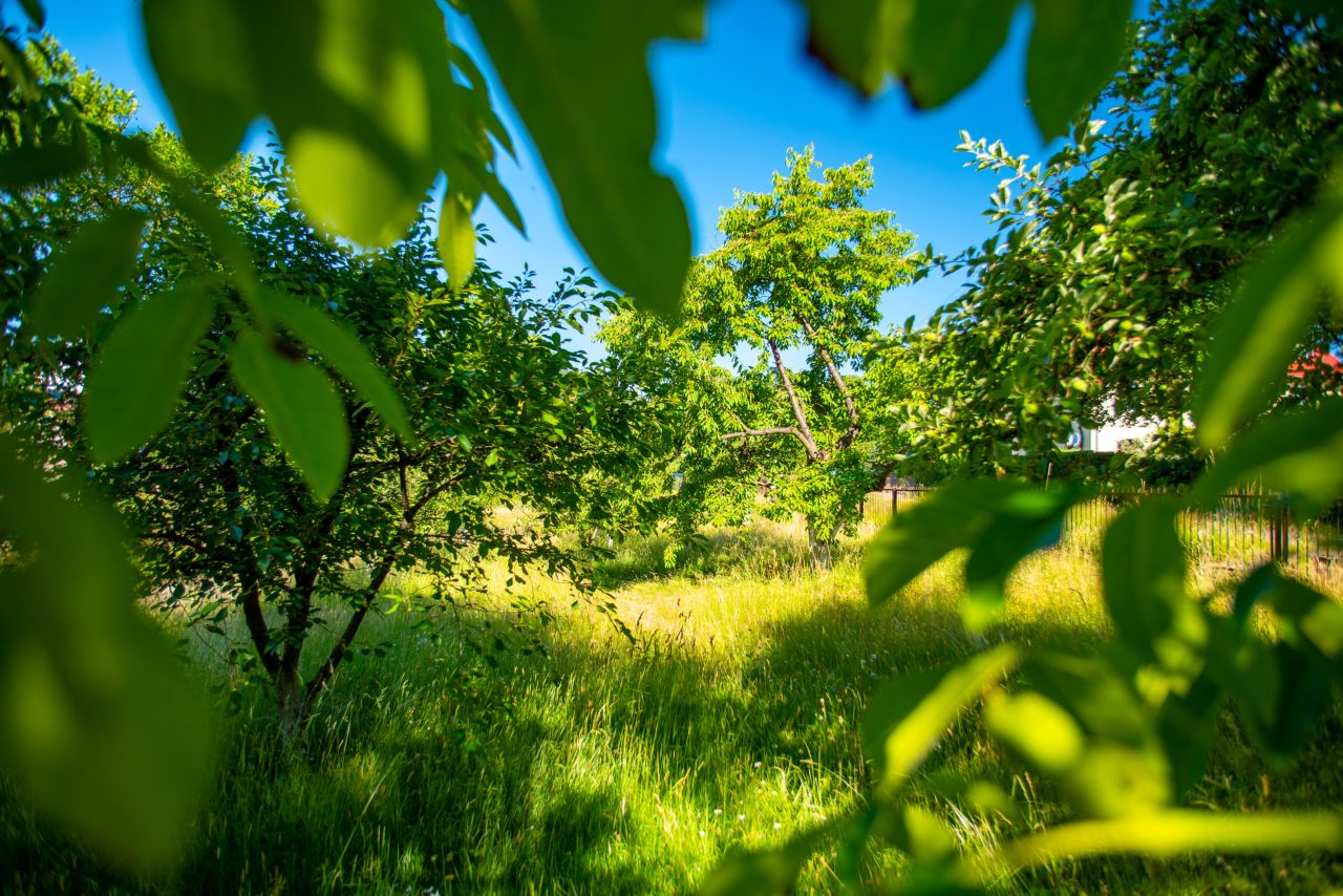 siedlisko, 6 pokoi Piechowice, ul. 1 Maja. Zdjęcie 17