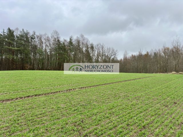 Działka budowlana Miszewo. Zdjęcie 5