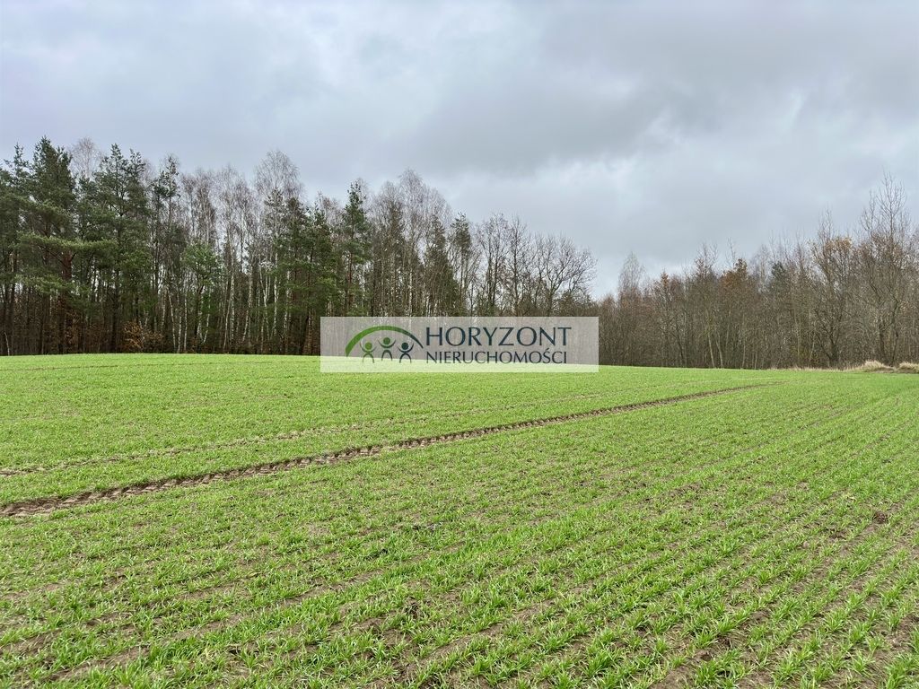 Działka budowlana Miszewo. Zdjęcie 5