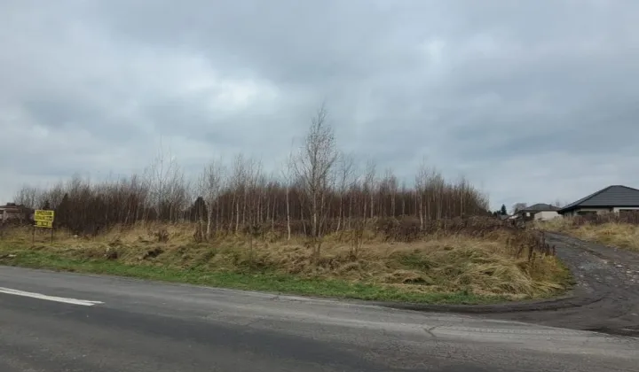 Działka budowlana Laryszów, ul. Wolności