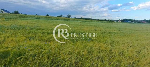 Działka budowlana Bielkowo. Zdjęcie 4