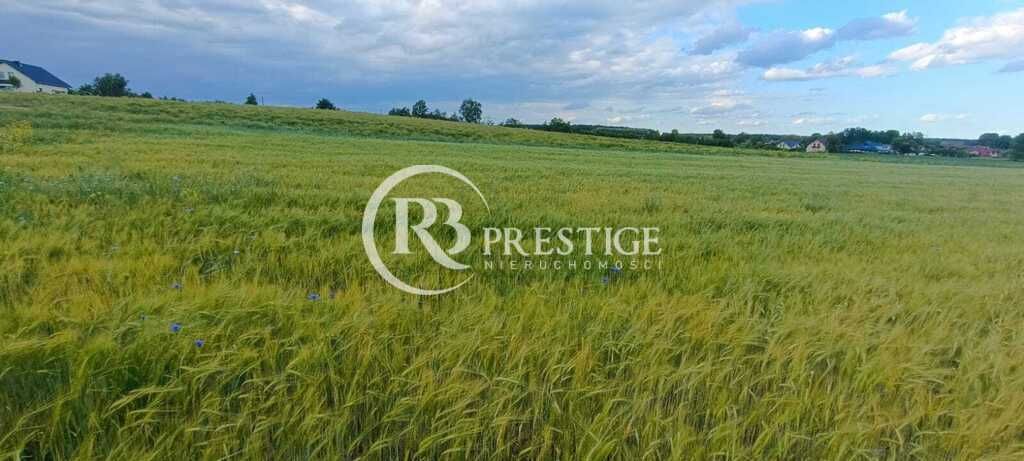 Działka budowlana Bielkowo. Zdjęcie 4