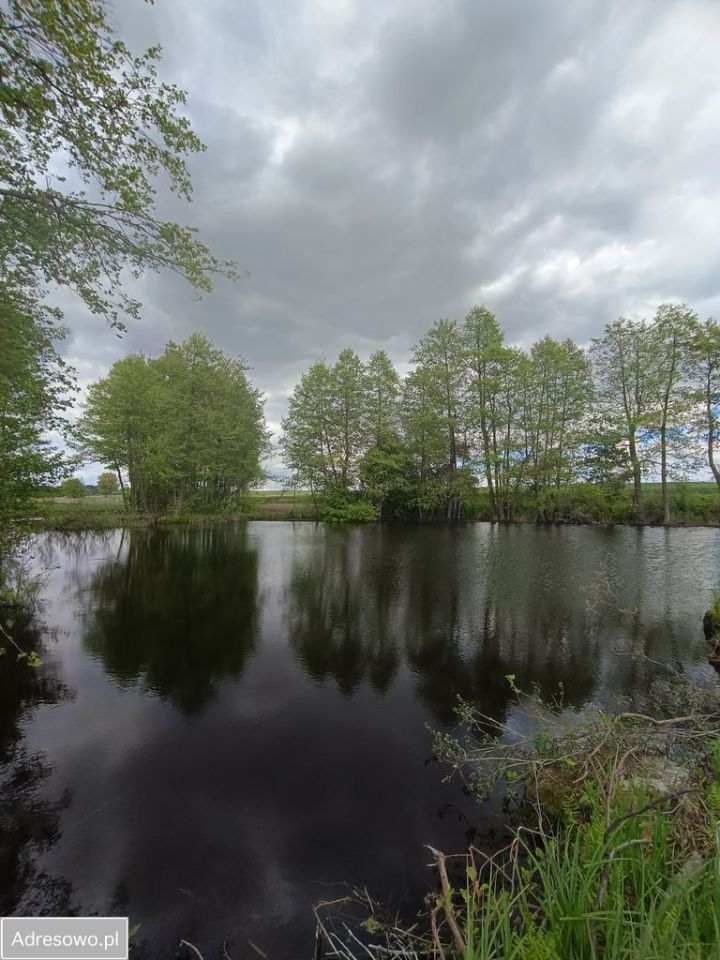 Działka rekreacyjna Miłachówek. Zdjęcie 6