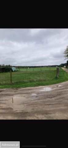 Działka budowlana Dominice. Zdjęcie 1