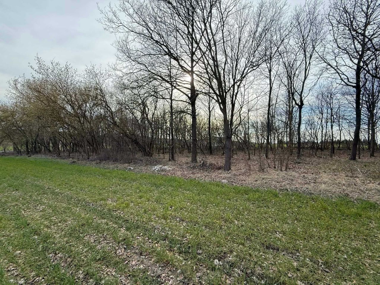 Działka budowlana Pomocnia. Zdjęcie 5