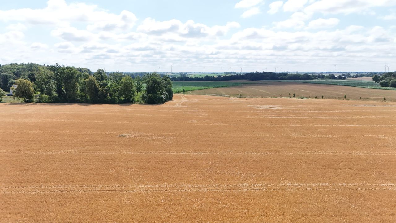 Działka budowlana Nowa Wieś Malborska, nowa wies. Zdjęcie 7