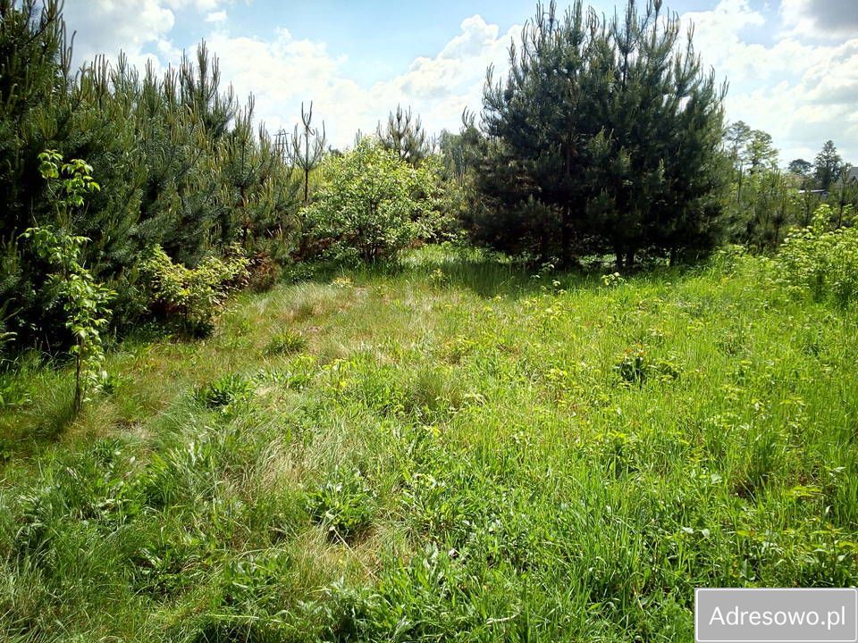 Działka budowlana Marysin, ul. Gruntowa. Zdjęcie 5