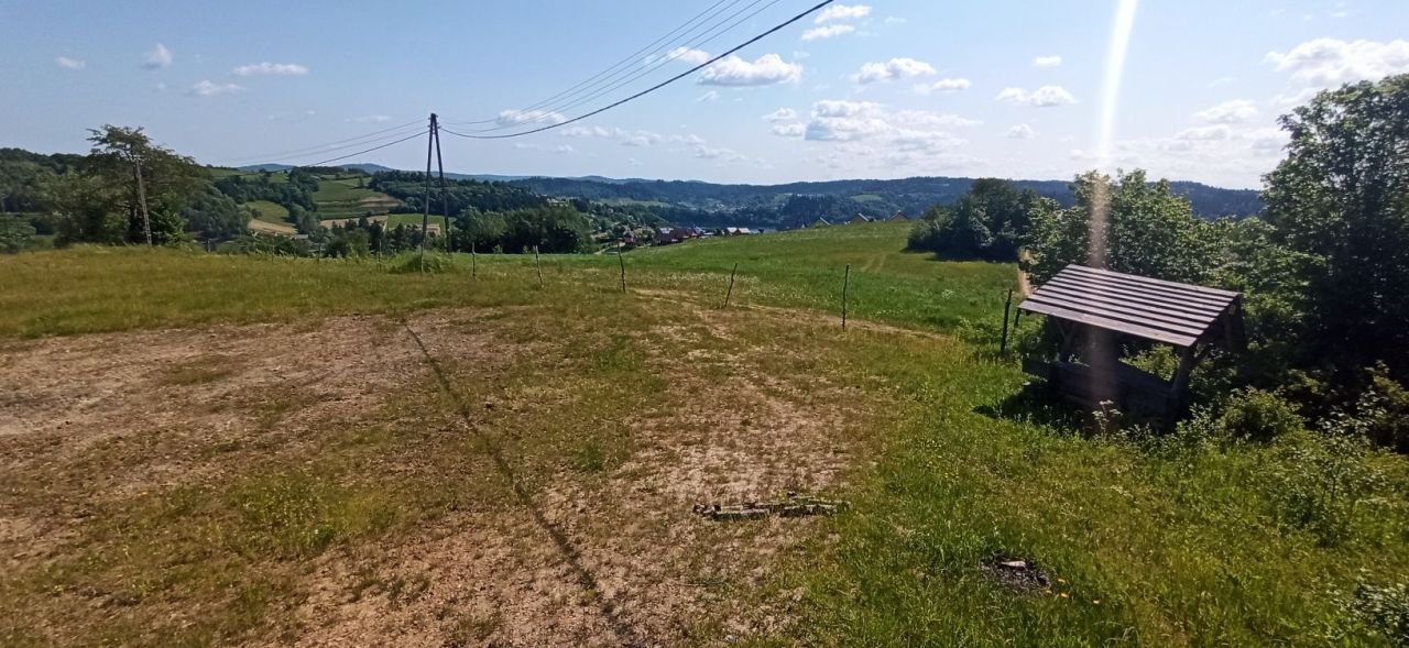 Działka rolna Wołkowyja. Zdjęcie 7