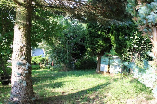 Działka rekreacyjna Piła. Zdjęcie 1