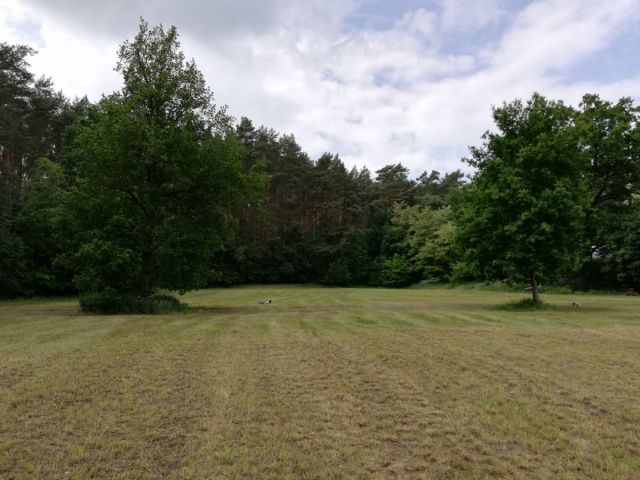 Działka budowlana Chełmno. Zdjęcie 8