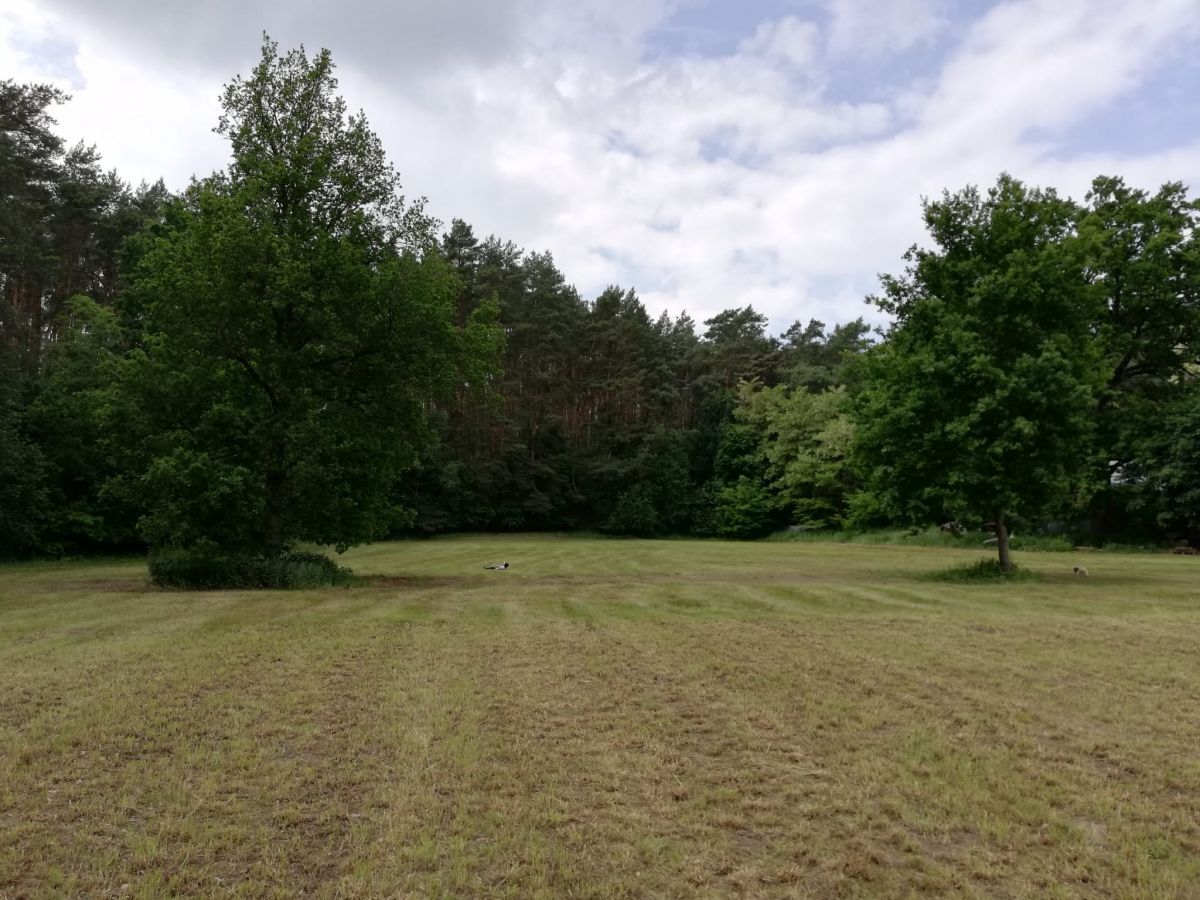 Działka budowlana Chełmno. Zdjęcie 8