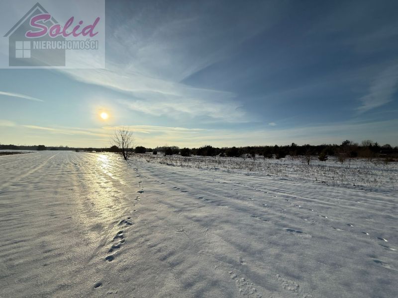 Działka rekreacyjna Huta Nowa. Zdjęcie 7