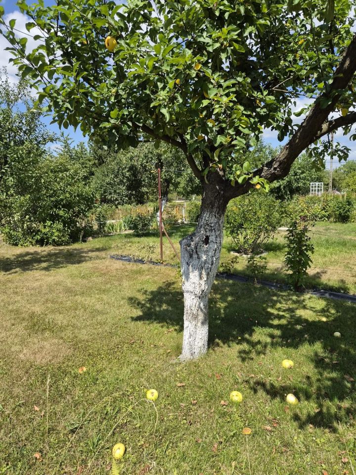 Działka rod Legnica. Zdjęcie 4