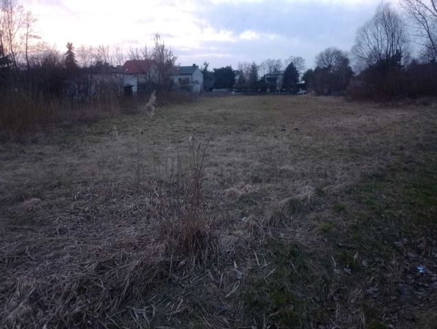 Działka budowlana Jedlińsk. Zdjęcie 1